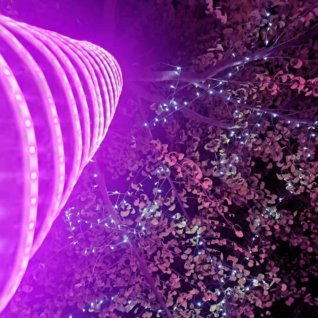 2207d66f5aae581c60538787894d3d4