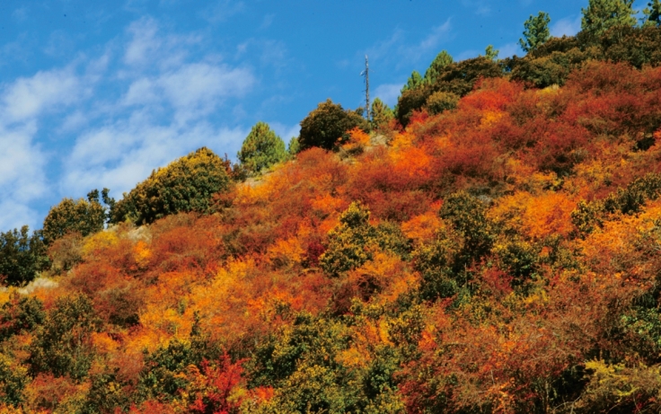 pagenumber_ebook=90,pagenumber_book=78