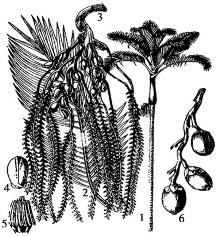 pagenumber_ebook=110,pagenumber_book=110