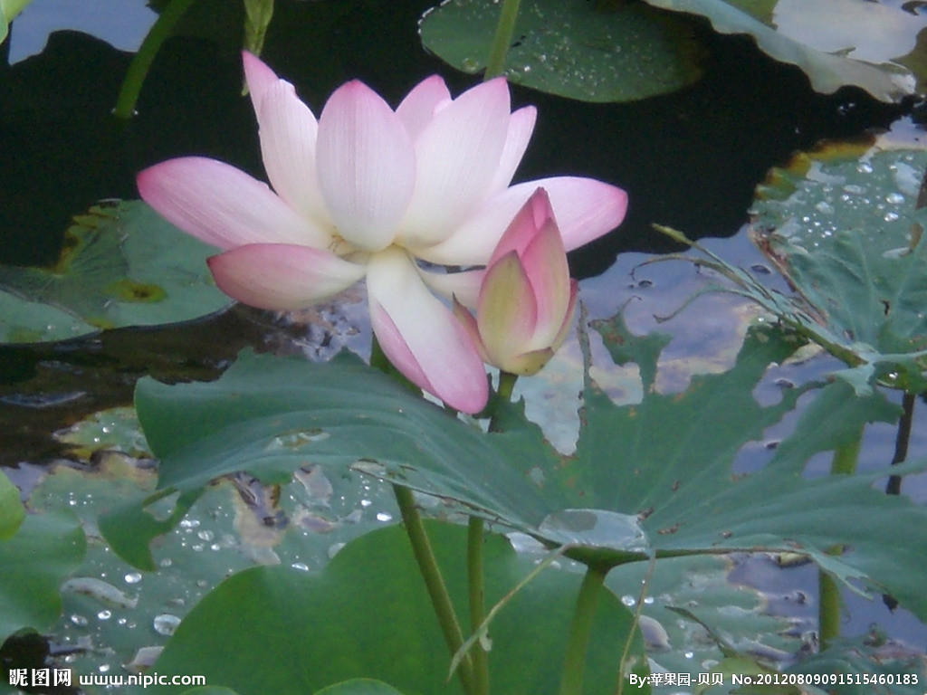 image01