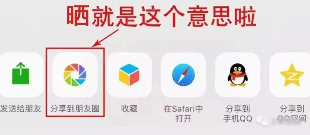 微信图片_20250604160533 微信图片_20250604160533.jpg