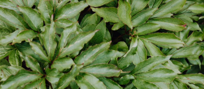 微信图片_20230202103007 微信图片_20230202103007.png