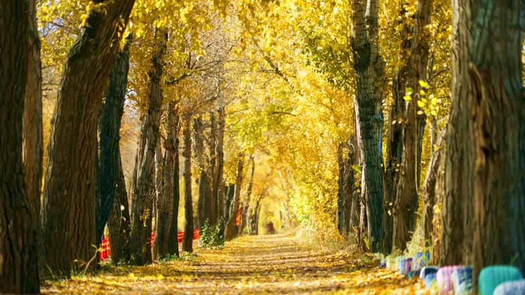 微信图片_20201028203038 微信图片_20201028203038.jpg?v=1763530011387