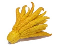 pagenumber_ebook=157,pagenumber_book=146