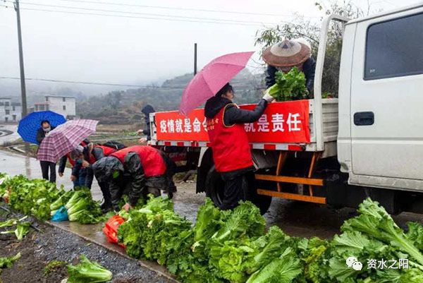 1 1.jpg?v=1765947688150