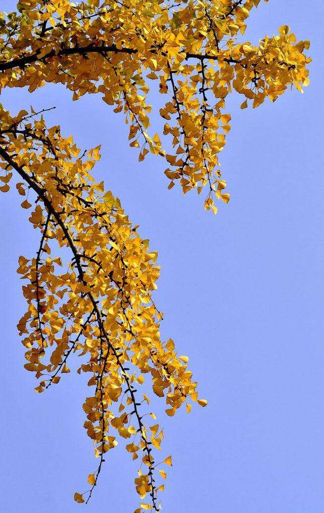 3056b7b9c99bbb7a06bf91138eea194