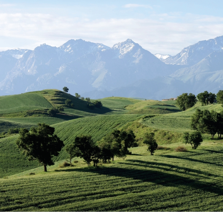 pagenumber_ebook=17,pagenumber_book=6