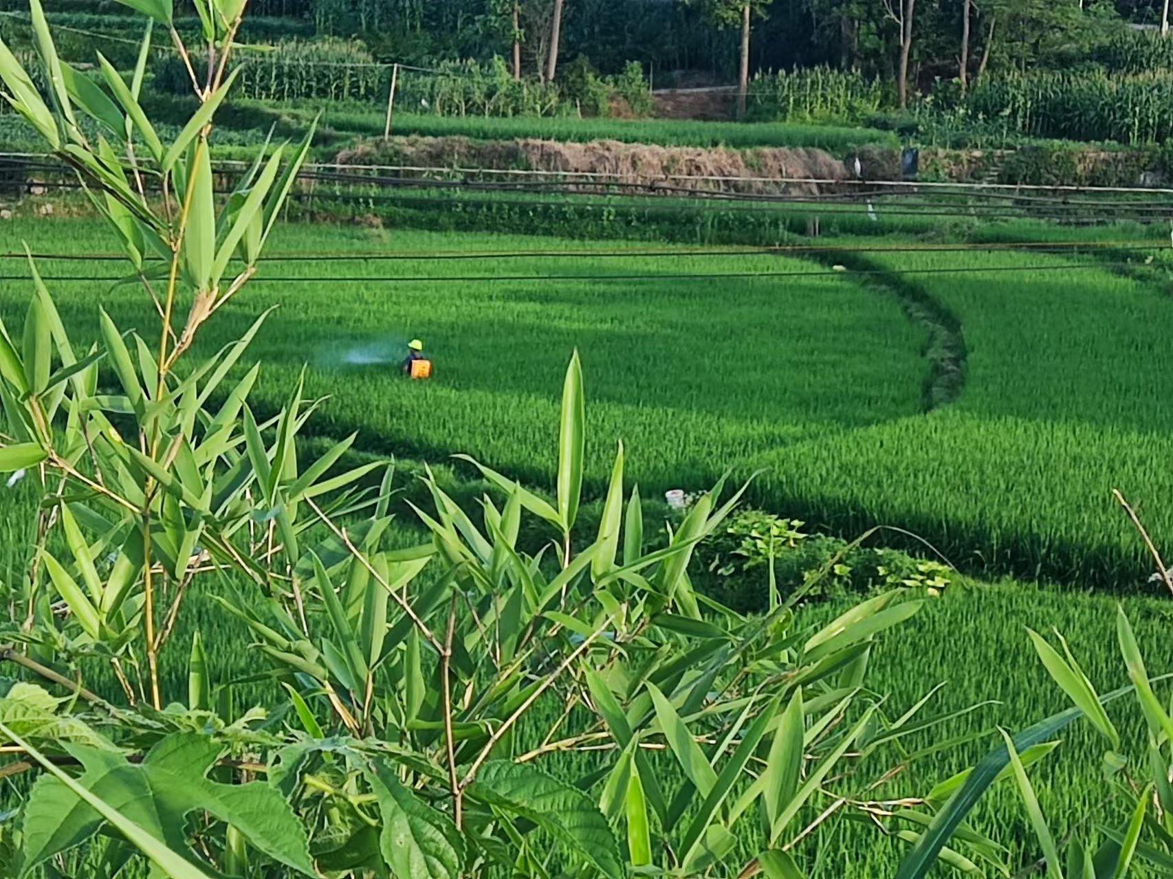 wps_doc_2 wps_doc_2.jpeg