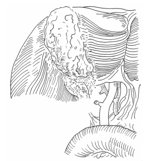 pagenumber_ebook=293,pagenumber_book=285