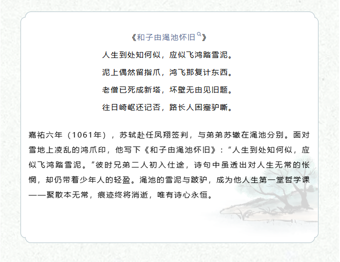 image.png?v=1770177939924