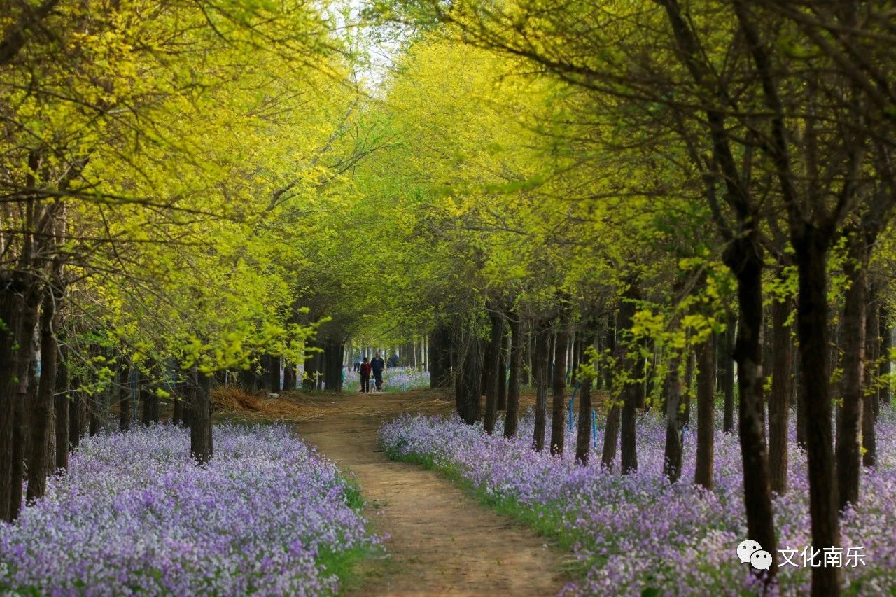 8d7e973169b25f72c0126c1e273bc1ad 8d7e973169b25f72c0126c1e273bc1ad.jpg