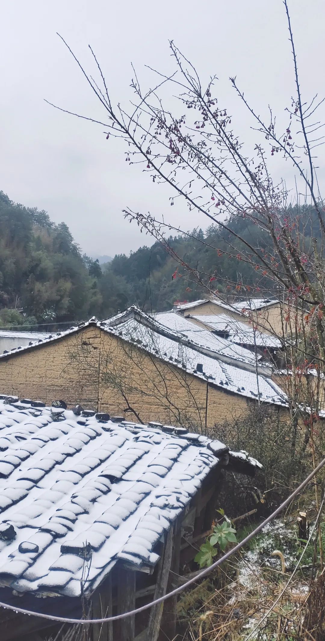 微信图片_20220225092000 微信图片_20220225092000.jpg