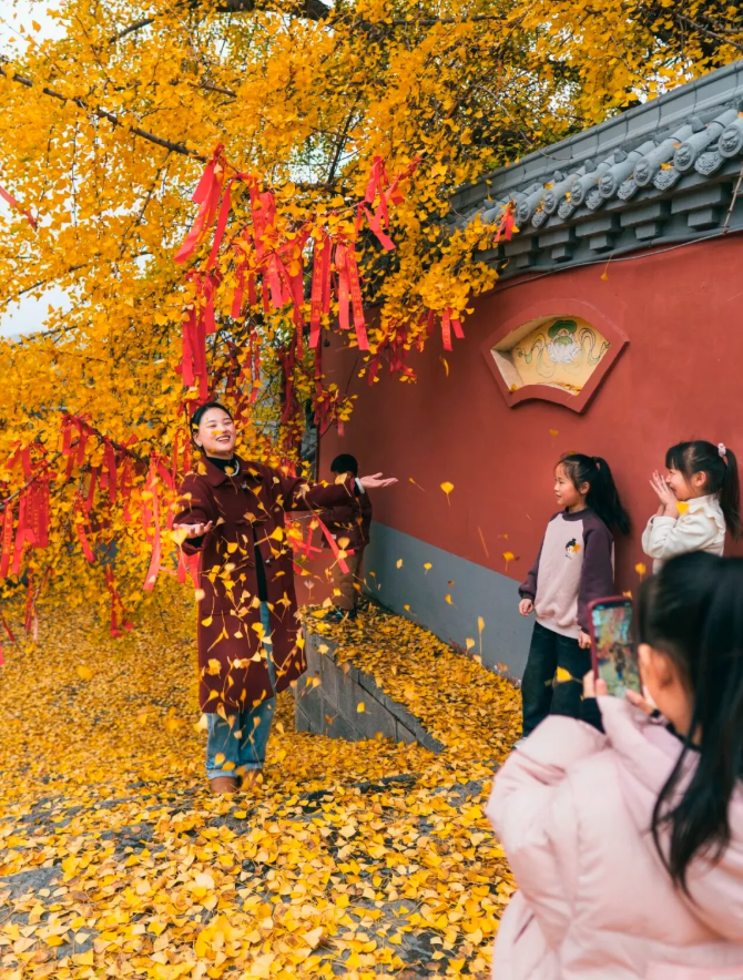 3b557ffbdaee7e0f8585aa4bbffeda70png