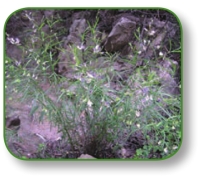 pagenumber_ebook=232,pagenumber_book=219