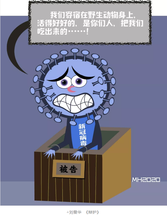image image.png?v=1784632462775