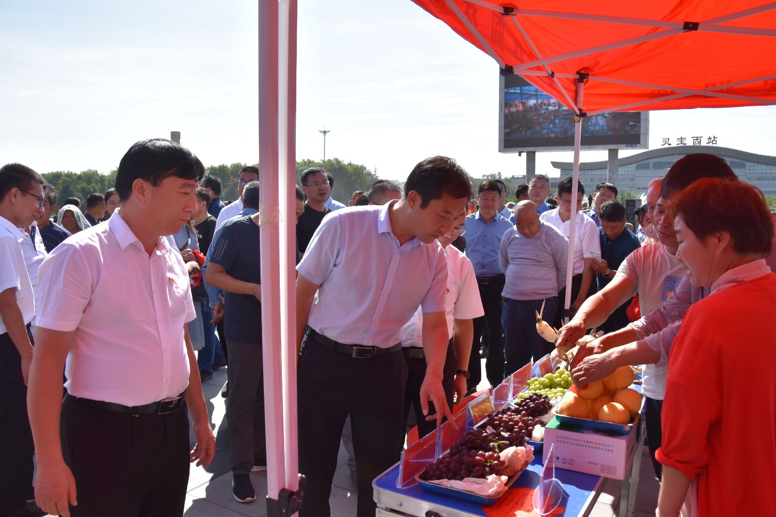 微信图片_20200917124450