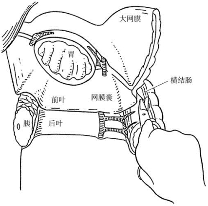pagenumber_ebook=202,pagenumber_book=187