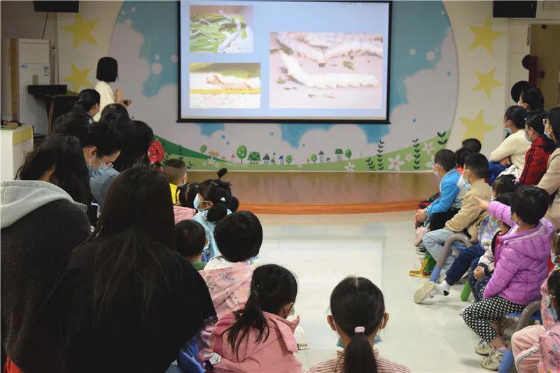 图片4 图片4.jpg?v=1772887660723