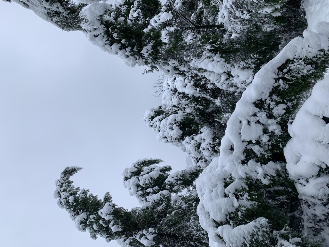 wps_doc_3 wps_doc_3.jpeg