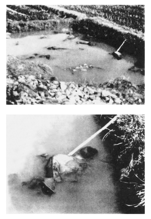 pagenumber_ebook=217,pagenumber_book=204