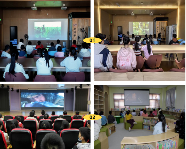 image image.png?v=1763548595338