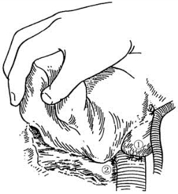 pagenumber_ebook=471,pagenumber_book=456