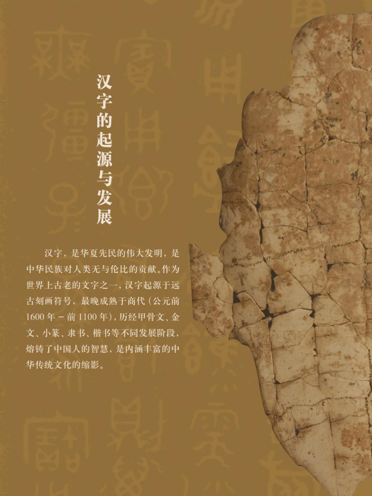 63e026bd-7601-4037-a881-aaa238daf85f