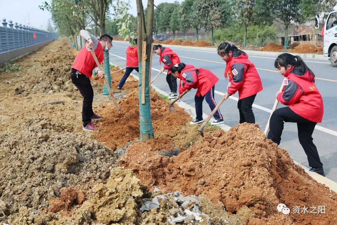 6 6.jpg?v=1765880648353