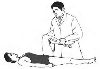 pagenumber_ebook=282,pagenumber_book=264