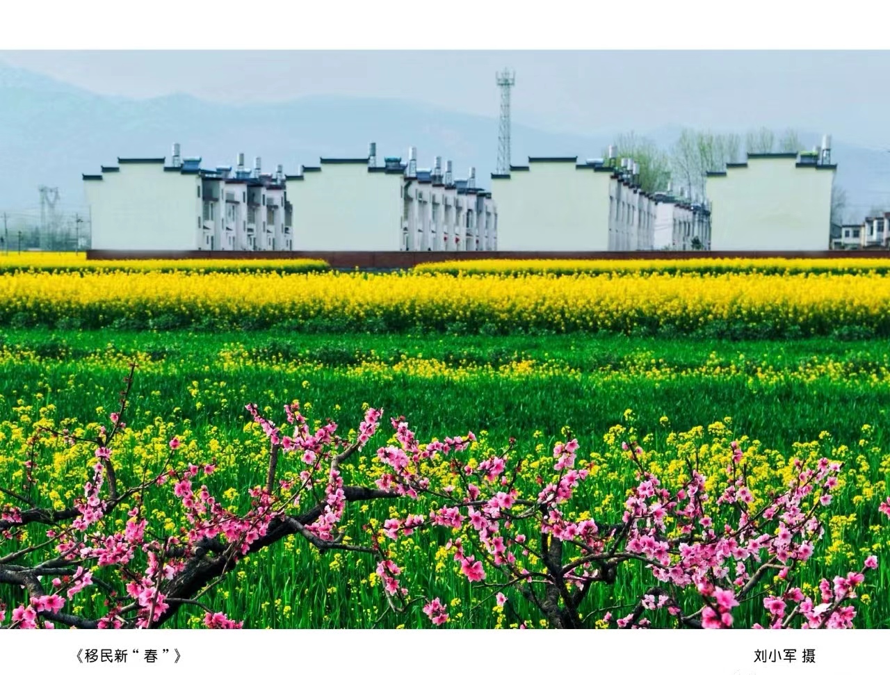 城固《移民新“春”》刘小军 摄.jpg?v=1746356210455