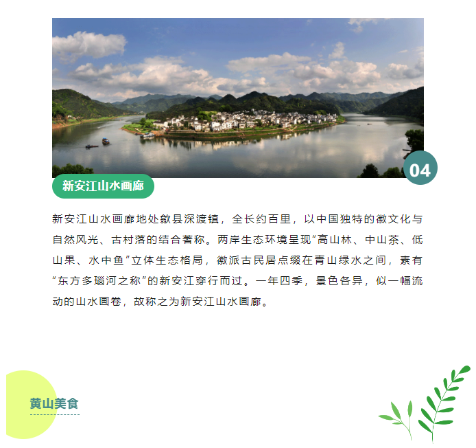image.png?v=1750230711901
