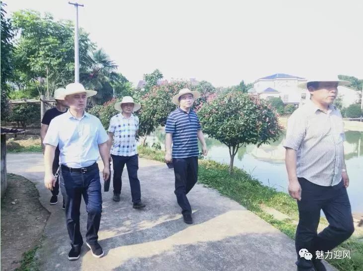 6 6.jpg?v=1765897789512