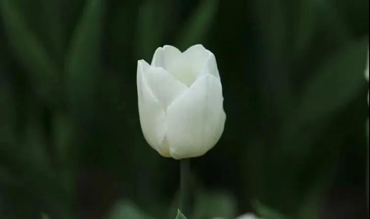 微信图片_20210329153313 微信图片_20210329153313.jpg