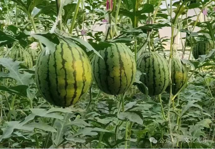 微信图片_20241010153626 微信图片_20241010153626.jpg