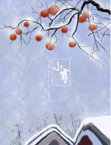 image image.png?v=1770185964493