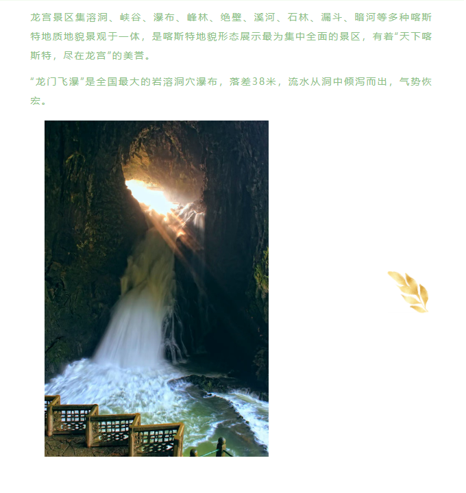 image.png?v=1751558967926