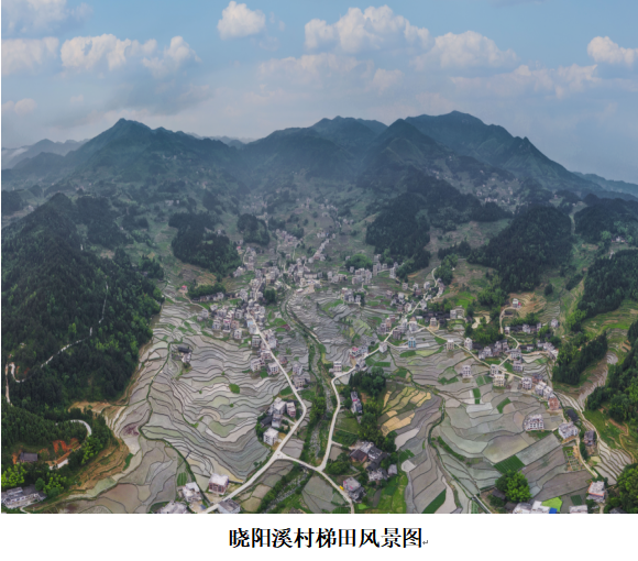 1732356364397 1732356364397.png