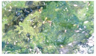 pagenumber_ebook=171,pagenumber_book=163