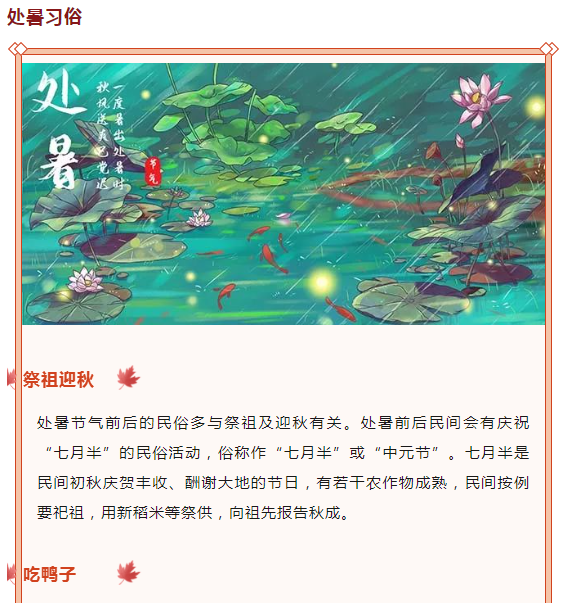 image.png?v=1750240634082