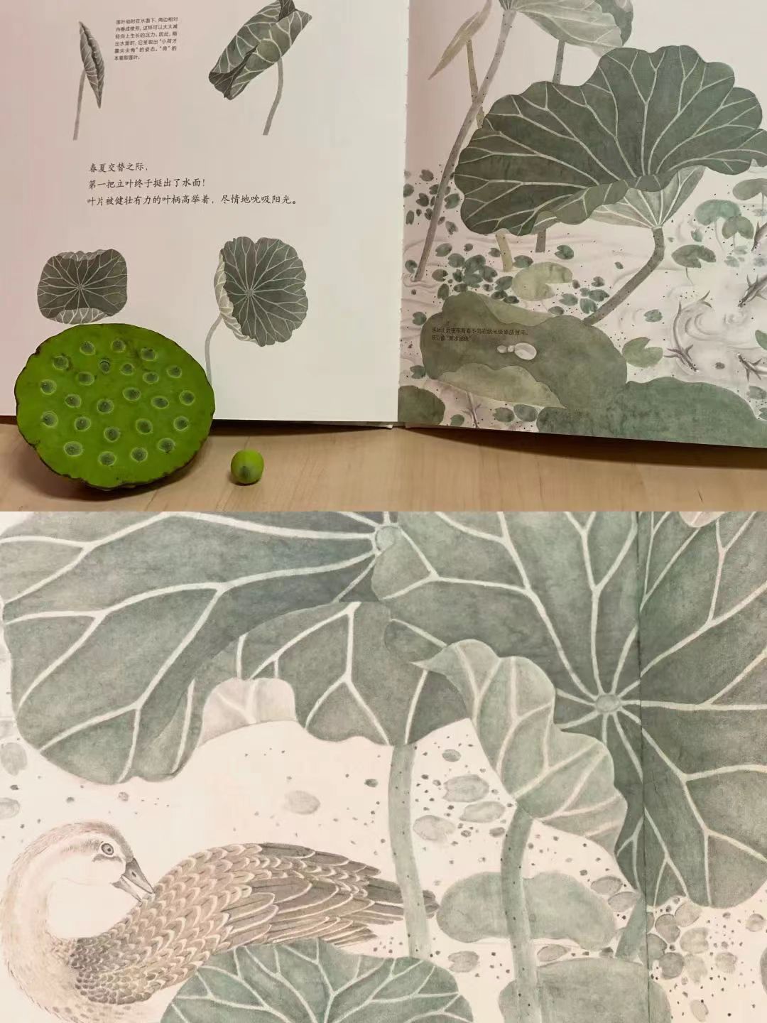 1360387414 1360387414.jpg