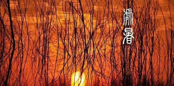 d4243046408f417b943478193baa0edb d4243046408f417b943478193baa0edb.jpeg