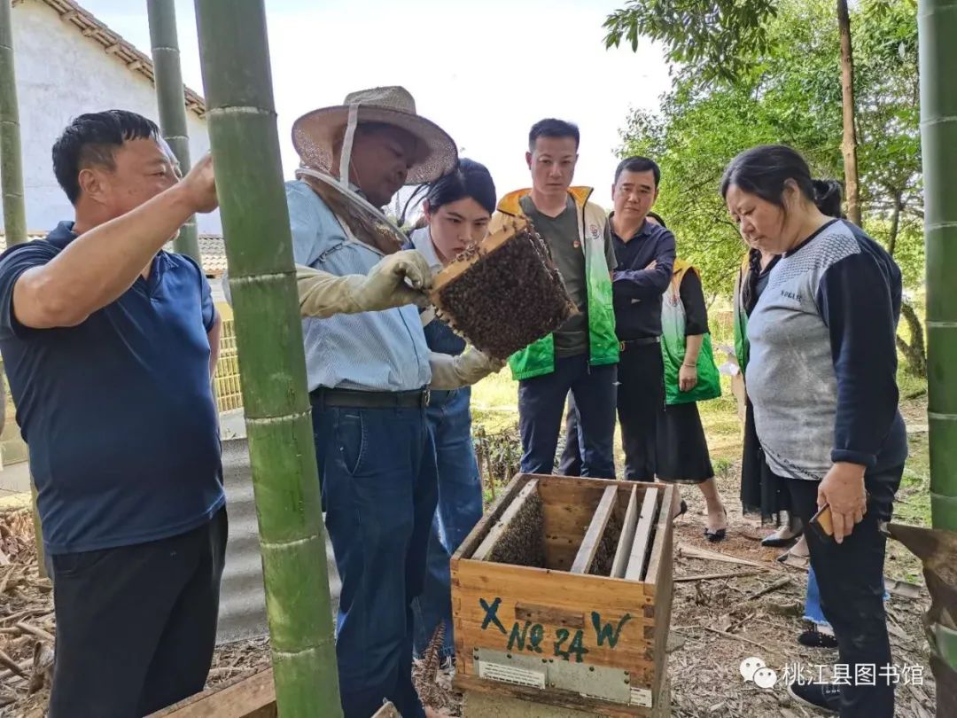 08 08.jpg?v=1765887065809