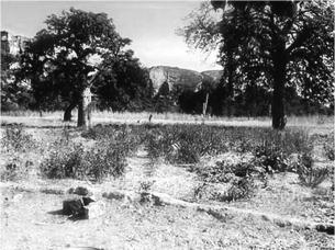 pagenumber_ebook=23,pagenumber_book=13