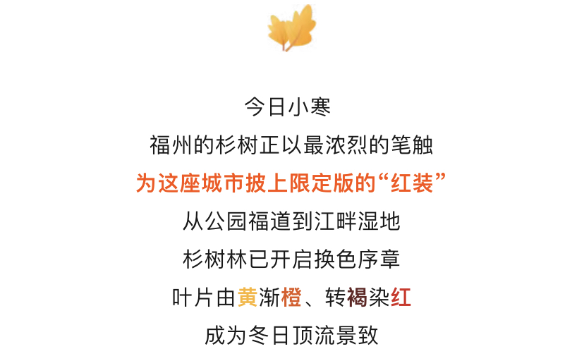 20260106【资讯】冬日童话！福州杉树观赏地图来了2jpg