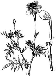 pagenumber_ebook=203,pagenumber_book=203