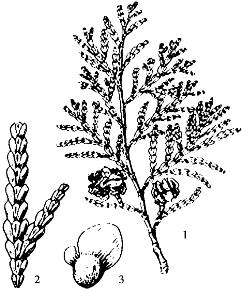 pagenumber_ebook=71,pagenumber_book=71