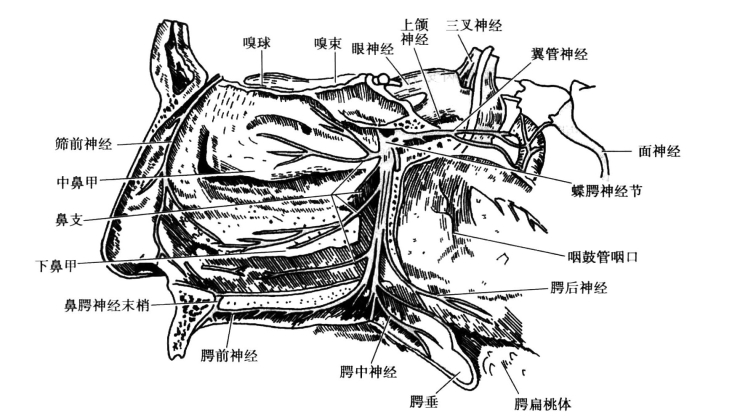 pagenumber_ebook=92,pagenumber_book=83
