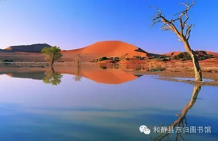 20170627183109_r69k2w6hmn 20170627183109_r69k2w6hmn.png?v=1762383431501