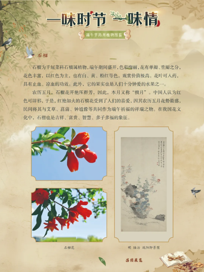 image.png?v=1782174181266