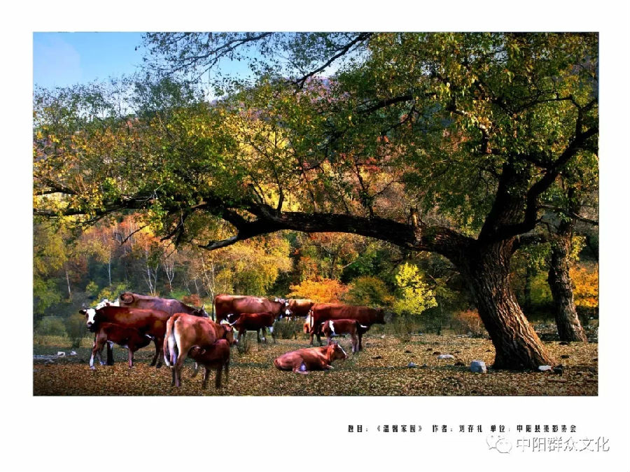 640.webp (13).jpg?v=1764880118725